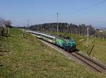 Die Re 446 016 mit einem Voralpenexpress am 30.03.2019 unterwegs bei Herisau.