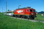 446 445  bei Altmatt  10.05.04