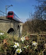 Sieht am ersten Blick für ein Frühlingsanfang Bild etwas gewöhnlich aus, aber ist es nicht: Es ist ein eher seltener Zug der in der Gegend -im Embrachertal sich blicken lässt. Sie fährt normalerweise NIE als S-Bahn oder Schnellzug auf der Bahntrecke Bülach-Winterthur, nur selten als Dienstzug. Im Bild durchquert ein 2-stöckiger SBB Re 450 am 15.3.17, um 15.15 Uhr als Dienstzug ohne Passagiere die 93 Meter lange Wildbachbrücke bei Embrach, welche 1950 durch einen Neubau ersetzt wurde. Der Dienstzug fuhr vom Bahnhof Bülach in den 1.8 km langen Dettenberg-Tunnel(1800 m), weiter durch den Bahnhof Embrach-Rorbas und weiter in Richtung Winterthur. Diese Strecke benützt hauptsächlich die S41 (Winterthur-Bülach(-Waldshut)), und sonst wenige Güterzüge, wie auch Dienstzüge.