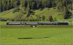 Zürcher S-Bahn im Glarner Land, das sich nach kurzer Regenzeit mit giftgrünen Wiesen präsentiert.