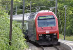 Re 450 027, Schaffhausen, Schloss Laufen am Rheinfall, S33 nach Winterthur, 9.7.2019.