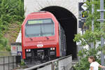 Re 450 055, Schaffhausen, Rheinfallbrücke bei Schloss Laufen am Rheinfall, S12 nach Brugg, 9.7.2019.