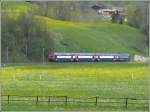 Vor Leuggelbach  nhert sich der S-Bahn Dosto 450 077-3.