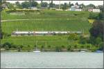 S-Bahn Zrich DPZ an der Goldkste zwischen Zrich und Meilen.