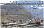 Ziegelbrcke, der grosse Bahnhof auf der grnen Wiese, ist ein wichtiger Umsteigebahnhof und Endbahnhof der Zrcher S-Bahn.