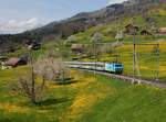 Eine Re 456 mit einem Voralpenexpress am 23.04.2012 unterwegs bei Steinerberg.