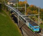 Voralpen Express Richtung Arth Goldau bei Immensee  3.