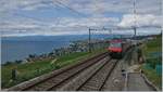 Während sich die SBB Re 460 104-3 mit ihrem IC nach St.Gallen Grandvaux nähert, schweift der Blick über das Lavaux und den Genfer See.