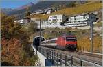 Die Re 460 114-2 hat mit ihrem IR nach Brig den Dala Tunnel verlassen und überquert nun die Rhonebrücke, um in Susten den Bahnhof Leuk zu erreichen.