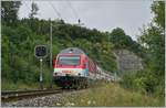 Die SBB Re 460 065-6 mit dem IR 27 2464 auf dem Weg Richtung Basel SBB kurz nach Läufelfingen auf der Alten Hauensteinlinie (Sommerfahrplan 2018).