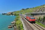 Re 460 059 mit einem IR am 16.06.2014 bei St.