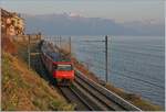 Im Abendsonnenlicht schiebt eine SBB Re 460 bei St-Saphorin ihren IR 1827 Richtung Wallis.