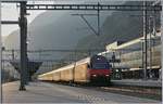 Im goldenen (Gegen)-Licht zeigt sich die SBB Re 460 001-1 mit ihrem IR 1810 (IR90 Brig Genève Aéroport) beim Halt in Visp.