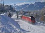 Im Pulverschnee gleitet die SBB Re 460 mit ihrem IR fast lautlos dem Genfersee entlang in Richtung Wallis.