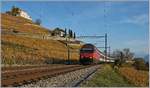 Die SBB Re 460 004-3 ist mit ihrem IR von Brig nach Genève Aéroport kurz vor Lutry unterwegs.