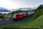 Re 460 012-8  Erguël  unterwegs am Thunersee bei Spiez (CH).