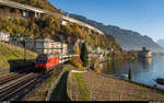 SBB Re 460 047 mit IR 90 Brig - Genève-Aéroport am 14. November 2020 bei Veytaux.