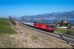 SBB Re 460 088-8 ist am 01.03.2021 unterwegs als IC8 816 von Romanshorn nach Brig und konnte hier kurz vor Spiez aufgenommen werden.