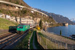 Am 04.04.2021 ist SBB Re 460 007-8 unterwegs als IR90 1730 von Brig nach Genf Flughafen und konnte hier beim Château de Chillon bei Veytaux im letzten Sonnenlicht aufgenommen werden.