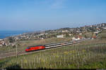 SBB Re 460 104 mit IR15 Genève Aéroport - Luzern am 17.