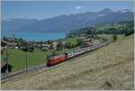 Eine SBB Re 460 ist mit einem IC von Interlaken in Richtung Spiez unterwegs und hat gerade Faulensee verlassen. 

14. Juni 2021