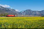 Am 24.04.2021 ist SBB Re 460 026-8 unterwegs mit dem IC3 1256 von Chur nach Zürich HB und konnte hier bei Maienfeld aufgenommen werden.