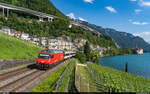 SBB Re 460 118 / IR Brig - Genève Aéroport / Veytaux-Chillon, 18. Juli 2021