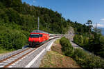 Am 29.07.2021 ist SBB Re 460 030-0 unterwegs als IR 2662 von Arth-Goldau nach Zürich HB und konnte hier bei Walchwil Hörndli aufgenommen werden.