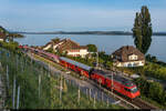 SBB Re 460 081 / Leermaterialzug 32172 Erlen - Cornaux NE / Ligerz, 26. September 2021<br>
Überführung des neuen FLIRT DMU 231 002 für Transport for Wales