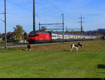 SBB - 460 086-2 mit IR bei Lyssach am 31.10.2021