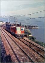 Die SBB Re 4/4 II 11182 ist kurz vor St-Saphorin mit einem IC von Milano nach Genève unterwegs. Damals führten auch internationale Züge noch einen Gepäckwagen.

ein Analogbild vom Juli 1985