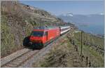 Noch einmal die SBB Re 460 103-5  Heitersberg  mit ihrem RE 30268 von St-Maurice nach Genève Aéroport zwischen Vevey und Chexbres kurz vor der Einfahrt in den 20 Meter langen Salanfe Tunnel