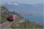 Die SBB Re 460 103-5  Heitersberg  ist mit ihrem RE 30268 von St-Maurice nach Genève Aéroport zwischen Vevey und Chexbres unterwegs.