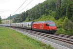 Re 460 065-6 fährt Richtung Bahnhof Tecknau.