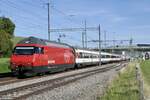 Die Re 460 097  Studenland  am Zusatzmodul eines IR15 nach Genf Flughafen am 4.9.23 in Schmitten.