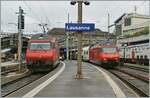 Die 119 in den Jahren 1991 bis 1996 gebauten SBB Re 460 übernahmen zur Jahrtausendwende zahlreiche Leitungen im hochwertigen Reisezugverkehr.