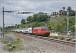 Eine SBB Re 460 ist mit einem Dosto 2000 IR 90 bei Clarens auf dem Weg in Richtung Wallis.