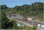 Blick aus der südlicher Richtung auf die Abzweigstation Wanzwil bei Kilometer 36 der NBS Mattstetten - Rothrist mit einem von einer SBB Re 460 gezogenen IC au fdem Weg in Richtung Olten. Der Zug hat gerade den zweispurigen, 3173 Meter langen Önzbergtunnel verlassen. 

16. September 2022    