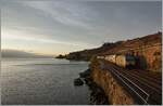 Im aller letzten Sonnenlicht des Tages ist die SBB Re 460 037 (Lattesso) mit ihrem IR 90 zwischen Rivaz und St-Saphorin auf dem Weg nach Brig. 

12. November 2024