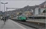 Die SBB Re 460 010  Swiss Tainable  ist in Montreux mit einem IR 90 von Genève Aéroport anch Brig unterwegs und dies wenig Minuten bevor die MOB Ge 4/4 8004  Swiss Tainable  Montreux erreicht hat, wobei beim zeitgleichem Erscheinen wohl kaum möglcich gewesen wäre bei Loks auf ein Bild zu bekommen. 

7. Dezember 2024