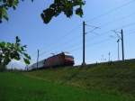 Die Re 460 093 strebt mit ihrem IR von Konstanz her kommend bei Tgerwilen Weinfelden entgegegen.