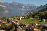 460 xxx mit IC 578 bei Mhlehorn am Walensee (07.10.2009)