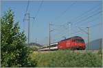 Zwischen Pieterlen und Lengnau, auf der anderen, sonnigen Seite des Bahndamms, an der Leugenen zeigt sich die Re 460 058-1 mit ihrem IR 2117 Biel/Bienne - Konstanz.