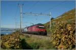 SBB Re 460 044-5 und 031-8 mit dem IR 1713 nach Brig bei Cully.