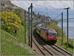 Die SBB Re 460 025-0 mit dem IR 1424 von Brig nach Genève Aéroport bei Rivaz.