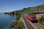 460 052-0 mit dem IR 1417 (Genève-Aéroport - Brig) zwischen Rivaz und St-Saphorin am 22.08.14