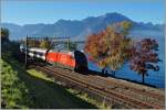 Die SBB Re 460 043-3 mit dem IR 1718 von Brig nach Genève Aéroport  kurz nach Villeneuve.