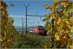 Die SBB Re 460 112-4 erreicht mit ihrem IR von Genève Aéroport nach Birg nach Cully, welches ohne Halt durchfahren wird.