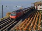 Die SBB 460 049-0 mit ihrem IR 1713 von Genève Aéroport nach Brig bei St-Saphorin.