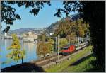 Kurz vor Villeneuve, mit dem Château de Chillon im Hintergrund, fährt eine Re 460 mit ihrem IR Richtung Brig.